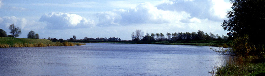 p12202
