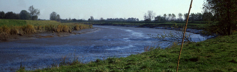 p12203