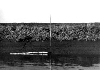 p12225