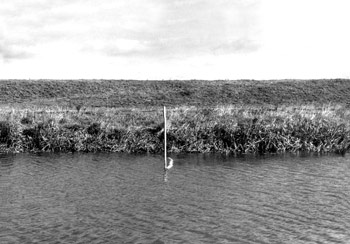 p12229