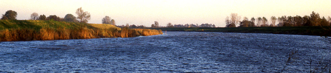 p12244