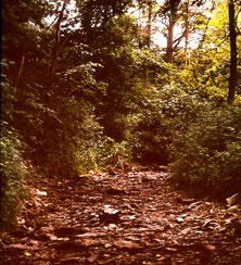 p12302