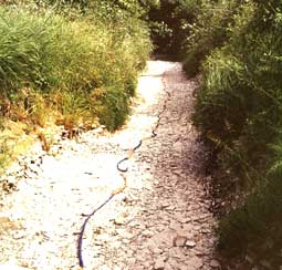 p12314