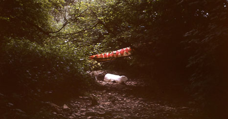 p12317