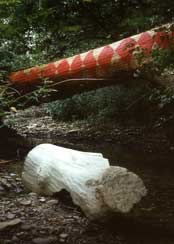 p12324
