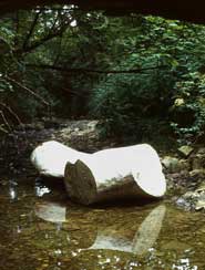 p12325