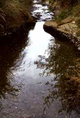 p12326