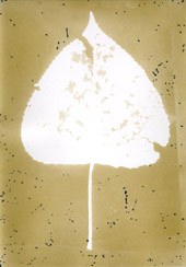 p21112