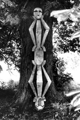 p21215
