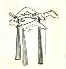 p21504
