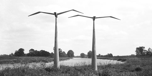 p21506