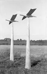 p21508
