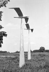 p21509