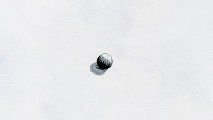 p21802
