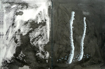 p34127