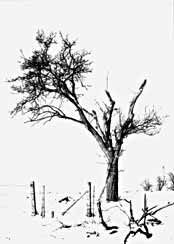 p34207