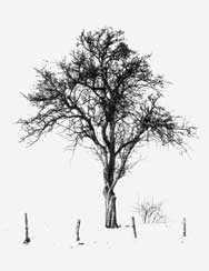 p34208