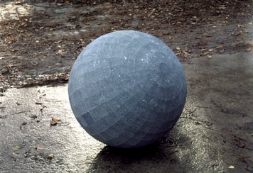 p41116