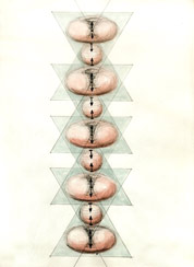 p61105