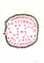 p61116