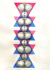p61119