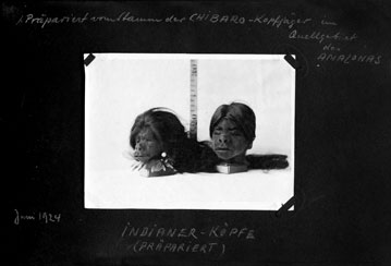 p61214