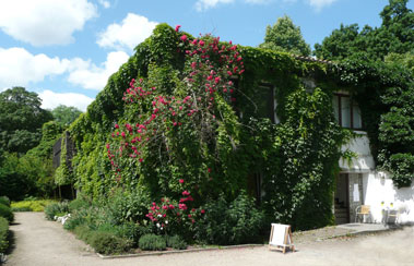 p920804
