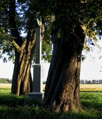 p930606